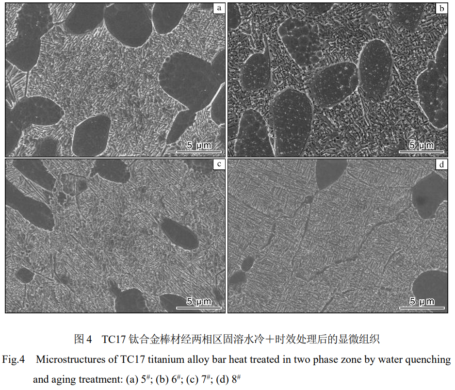 熱處理工藝對大規(guī)格TC17鈦合金棒材組織與力學(xué)性能的影響