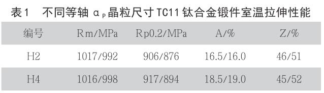 1708259937566089.jpg b1.jpg