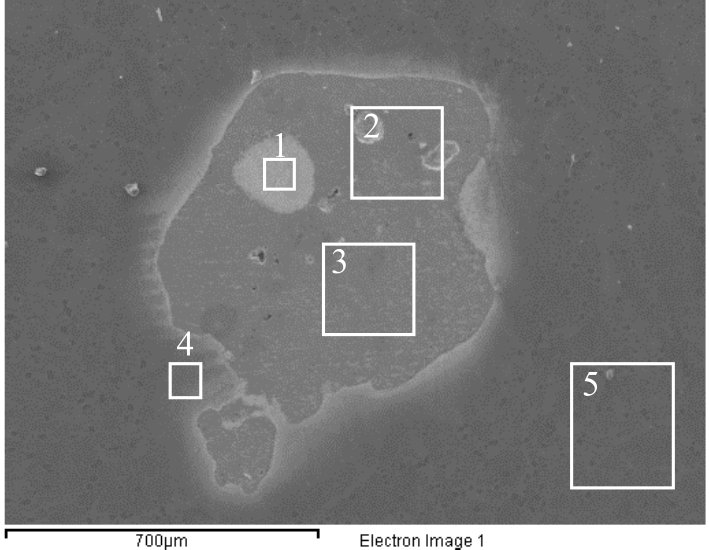 1712874421223496.jpg 4.jpg