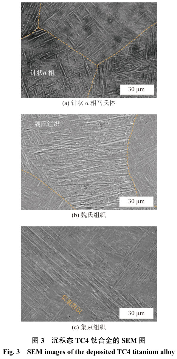 1716105997184494.jpg t3.jpg