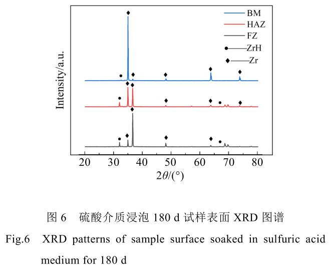 1729070659163584.jpg 6.jpg