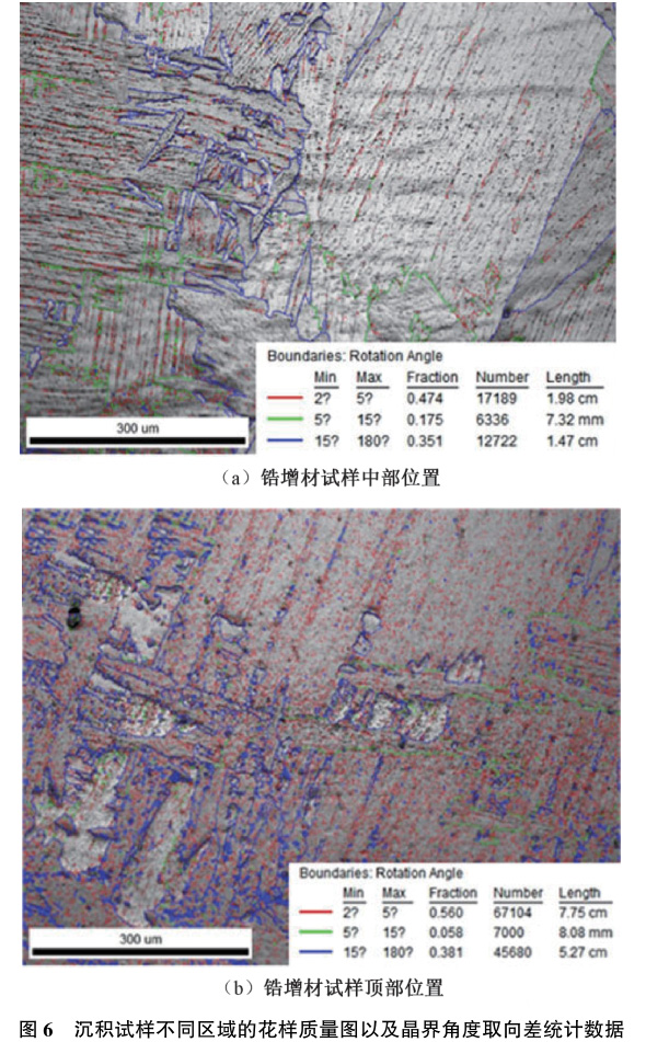 1729243132240017.jpg t6.jpg