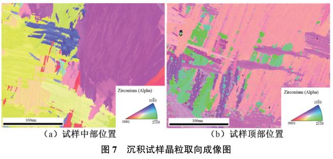 1729243143618155.jpg t7.jpg