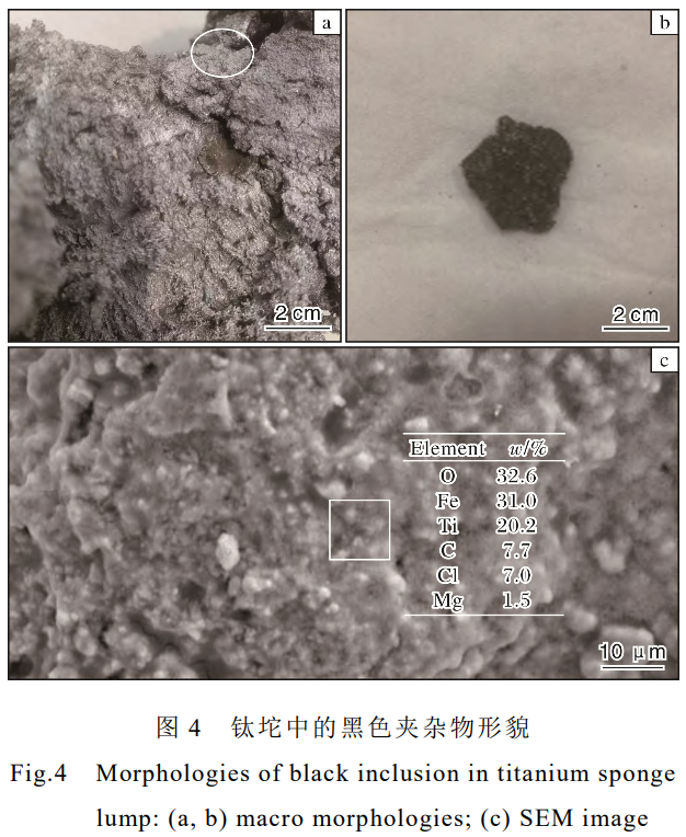 1732434669999097.png 4.png