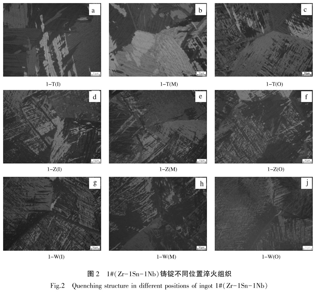 1735309097476086.jpg 2.jpg